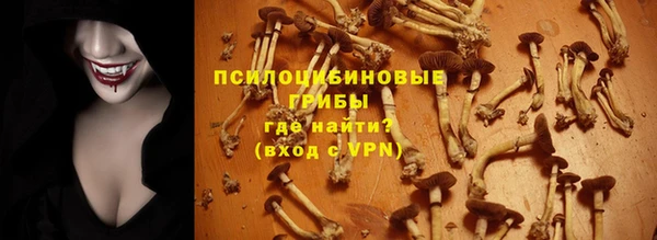 бошки Алзамай