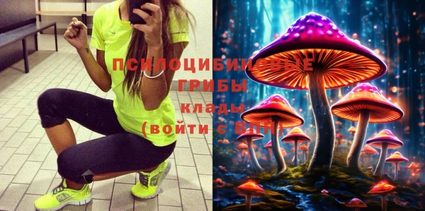 прущие крисы Козельск
